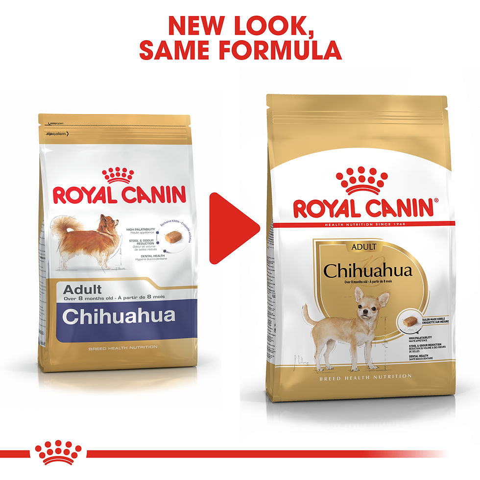 Miniature : Royal Canin Chihuahua Adulte 500 g
