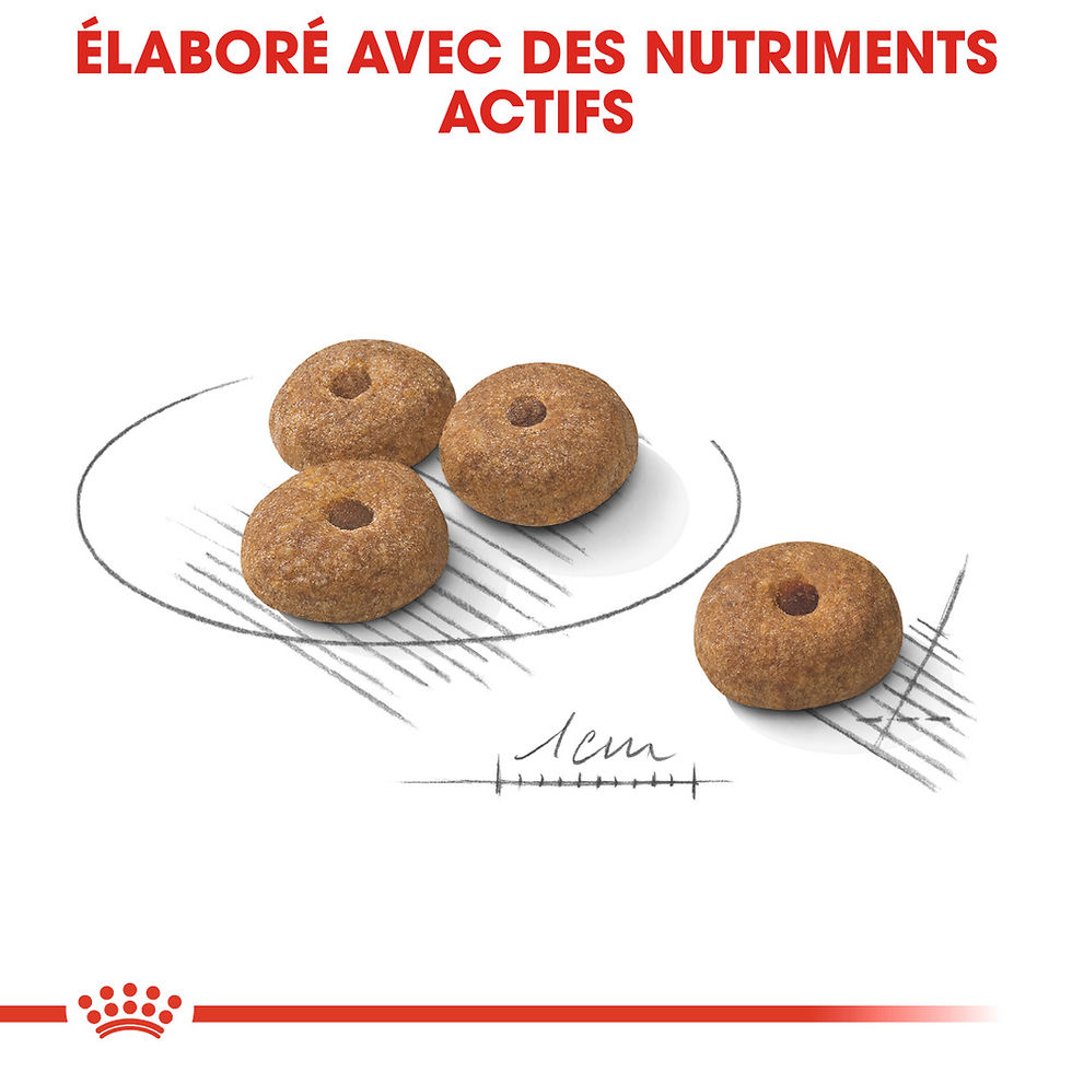 Miniature : Royal Canin Mini Sterilised Adult 1 kg