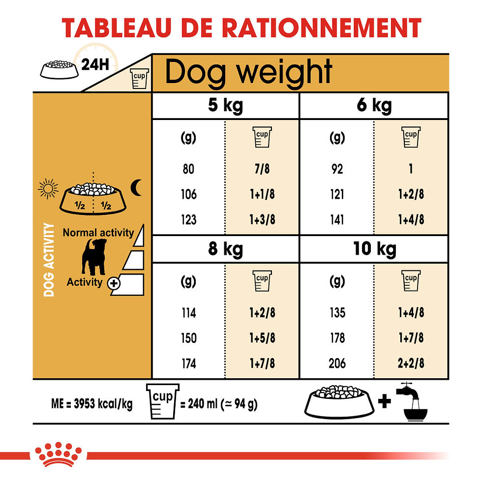 Miniature : Royal Canin Jack Russell Adulte 3 kg