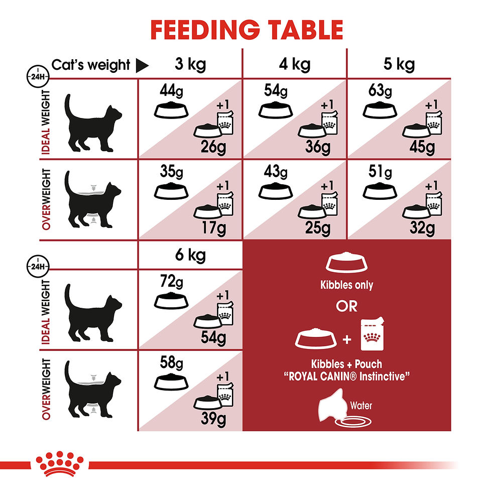 Miniature : Royal Canin Fit Cat 2 kg