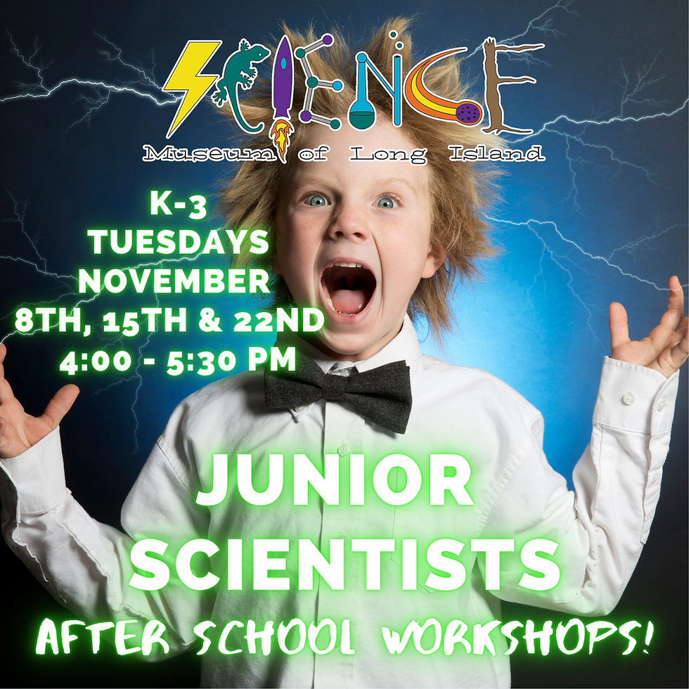 JUNIOR SCIENTISTS NOVEMBER AFTER SCHOOL - Grades K-3