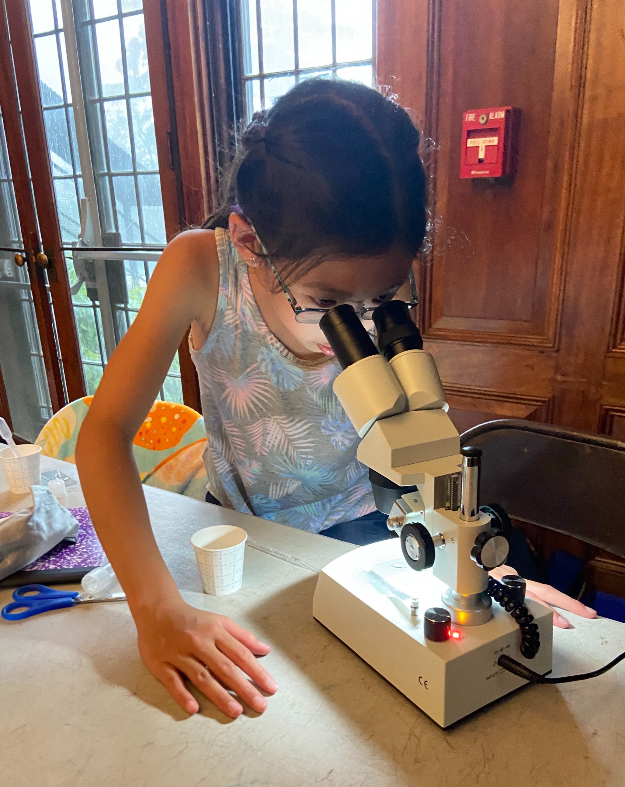 Science Museum of Long Island school program activity