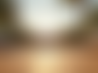 Expert Deck Builders at Oasis Decks Co.