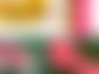 Winter pool training