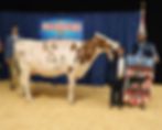 53578038025_9b310c1605_k.jpg