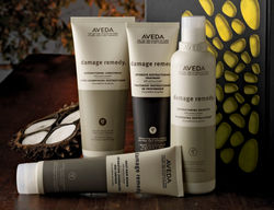 Aveda Hair Products