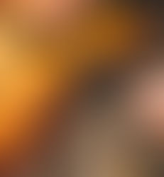 High Resonance Lutz Spruce Bracewood Supply