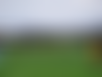 06/12/25 Weekly Round Up