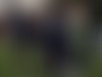 Nomads through to Pyke Cup Final