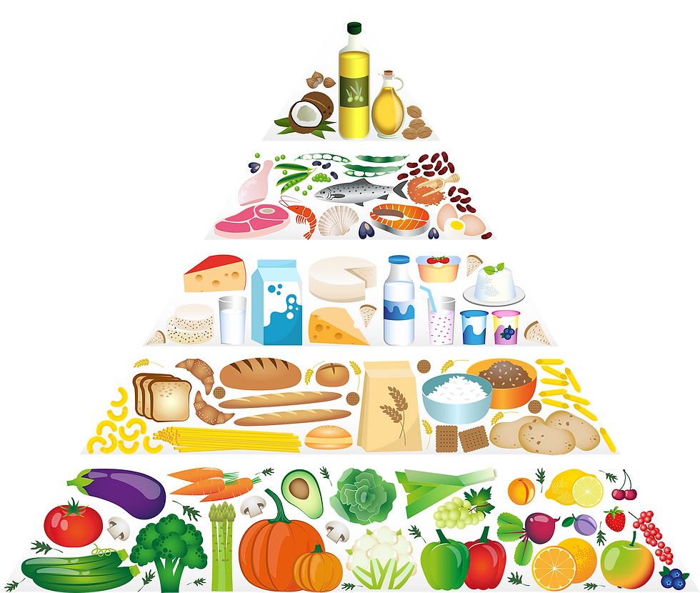 Pirâmide de Alimentos