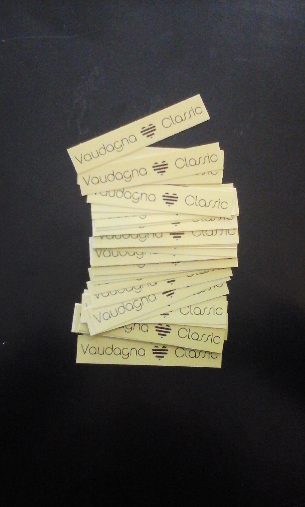 Stickers Vaudagna Classic •