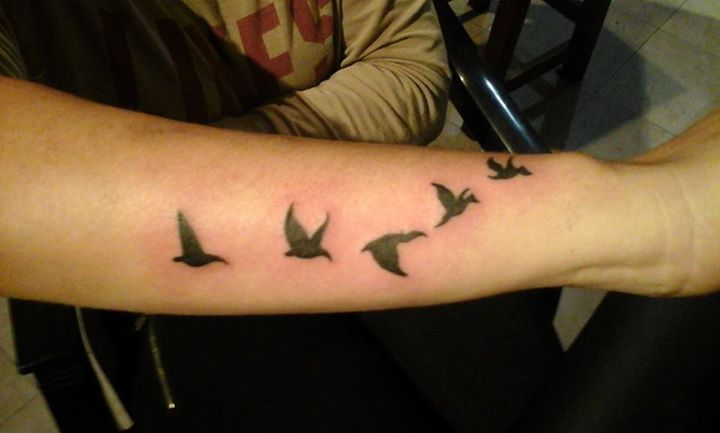 Pájaros