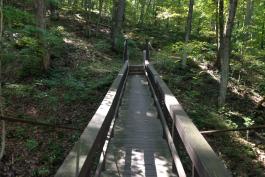 Hike in Rockwood Reservation: October 1 2022; 9:30 AM