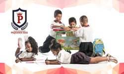 Banner 2 - 456x274