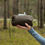 Миниатюра: Брезент для кемпінгу Lesovik Groza Ultralight Tarp 3x3