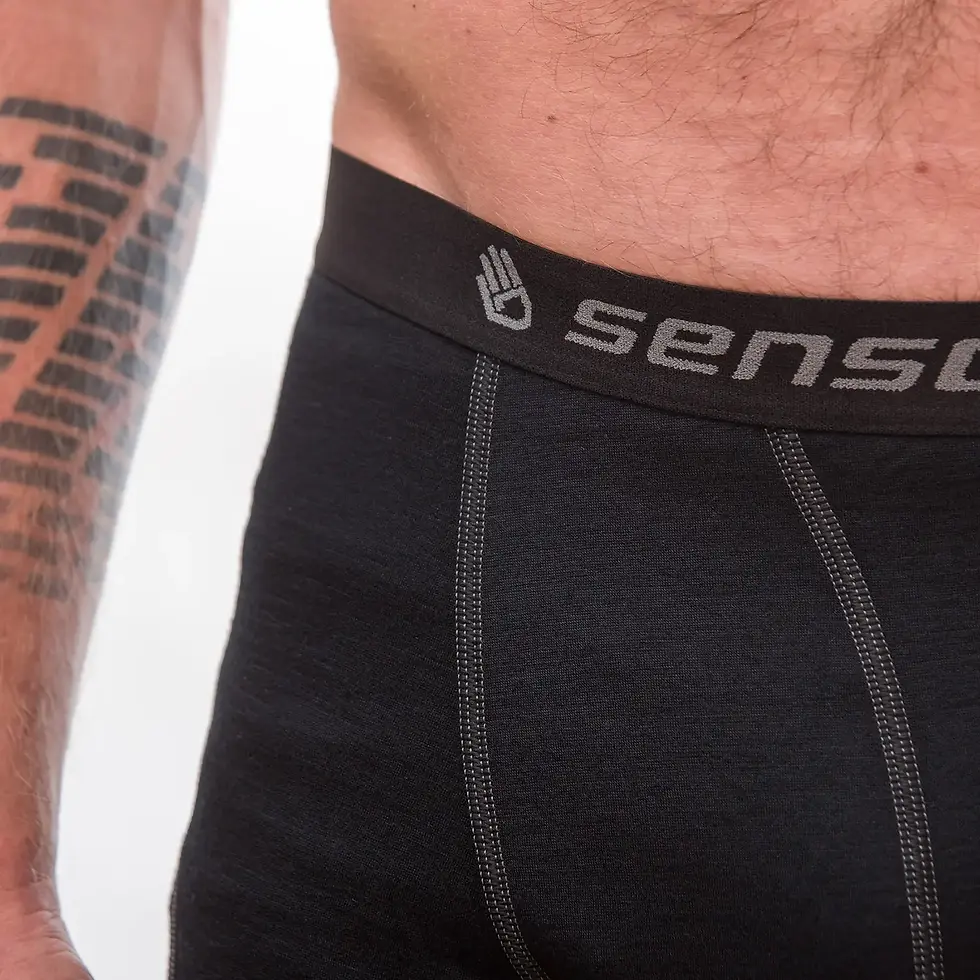 Миниатюра: Термотруси чоловічі Sensor Merino Active