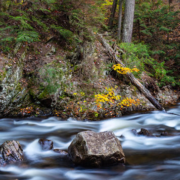 FALL 1008 Crystal Creek Colour