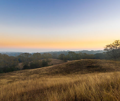 Bonham Foundation in Weimar, Texas uses ranching roots to promote conservation, stewardship and natural resource education.