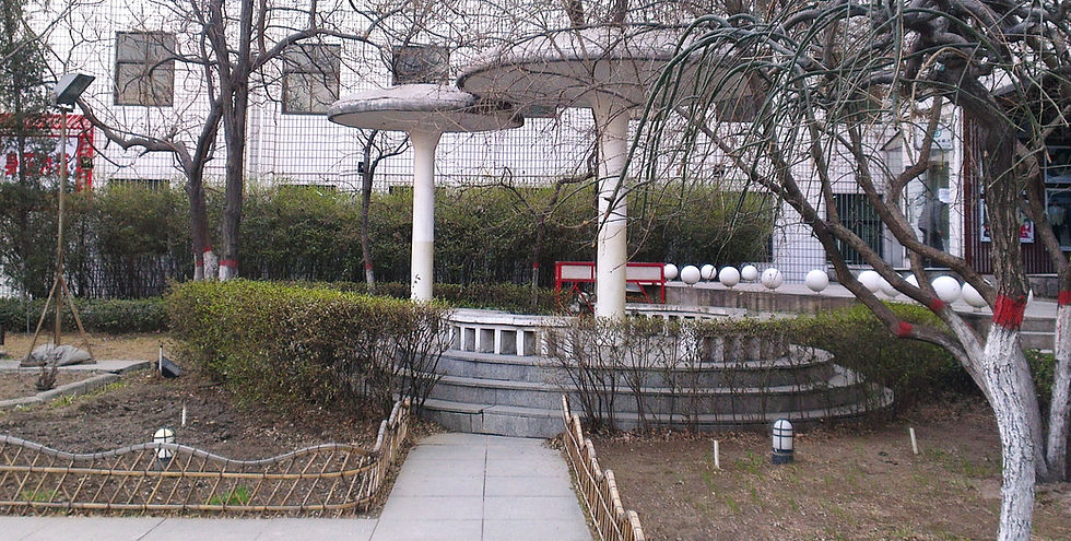 Park in Winter, Taiyuan City, 2013