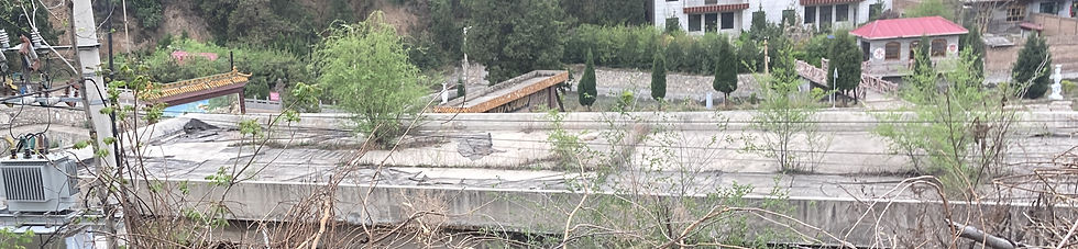 Trees growing on top of an old building, Shanxi, 2023