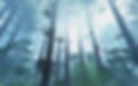 What trees show us about connecting our teams for growth - Louise Brown Coaching