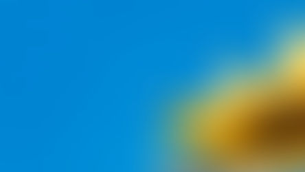 De Pyxicare zomerupdate: meer inzicht in slimme algoritmes 