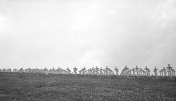 L'alignement de croix témoignage des 25000 morts de l'effroyable tuerie de 1915 - juillet 1939