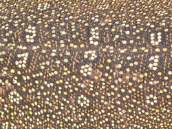 Sénégal - Sally - Peau de varan - mars 2012