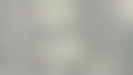 More Project Success