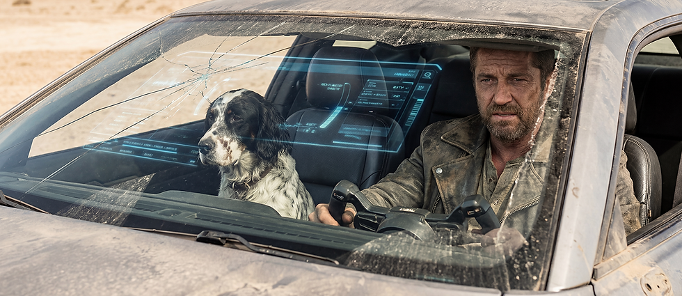 Header Belonging.png