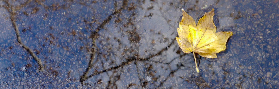 Hand Cover photo_edited.jpg