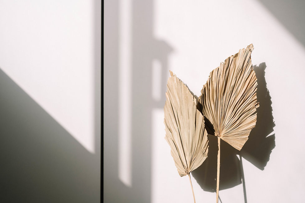 Styled Stock Society Shadow Play 5.jpeg
