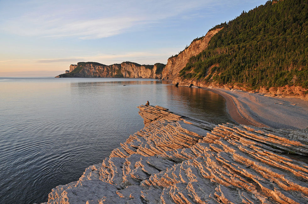 Imprégné de nature