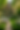 Back ground .png