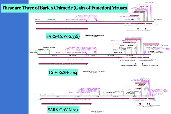 Screen Shot 2024-03-05 at 2.12.59 PM.png