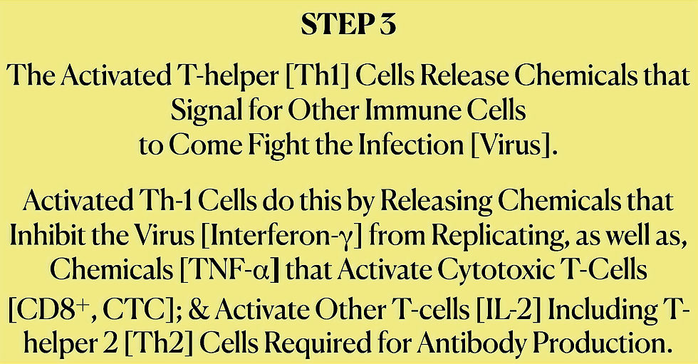 Screen Shot 2025-04-27 at 11.00_edited.j