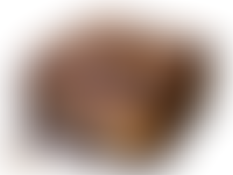 Goosey Caramel Brownie