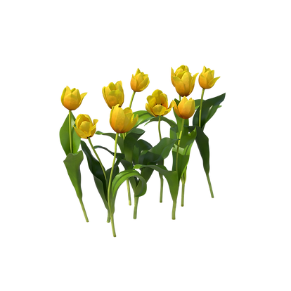 Tulips.G15.shadowless.2k.png