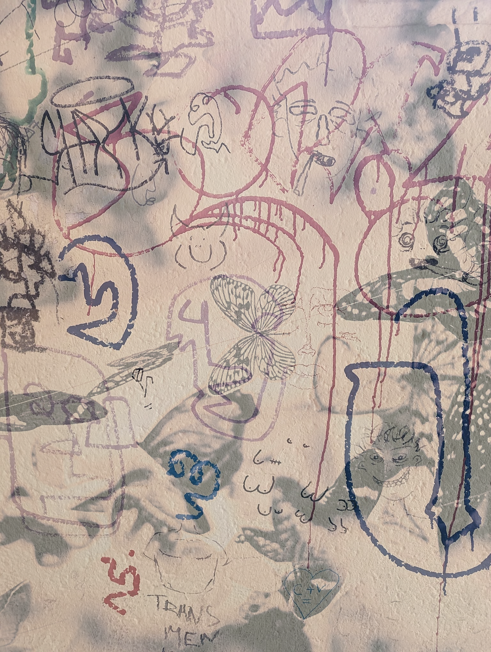 photo d'un mur avec dessins/tags avec une ombre de papillons qui volent