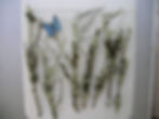 cbl_branches