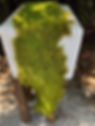 NuMoss Sheet700