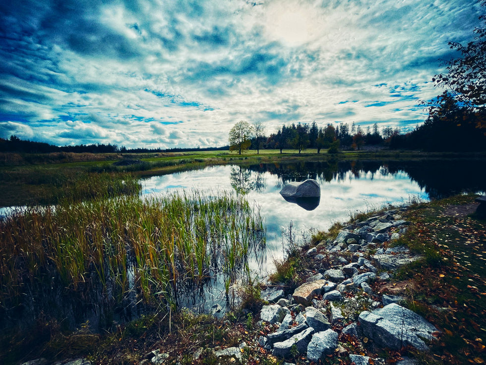 IMG_6487