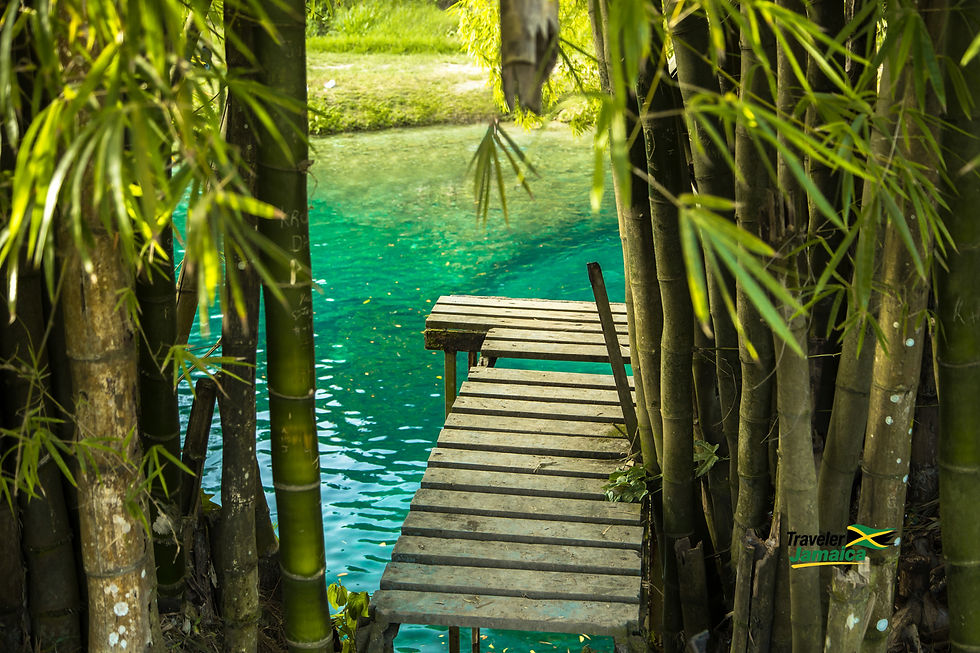 A rustic wooden plank pierces through lush bamboo, extending over the vibrant blue waters at Old Spanish Bridge, St Mary, Jamaica.