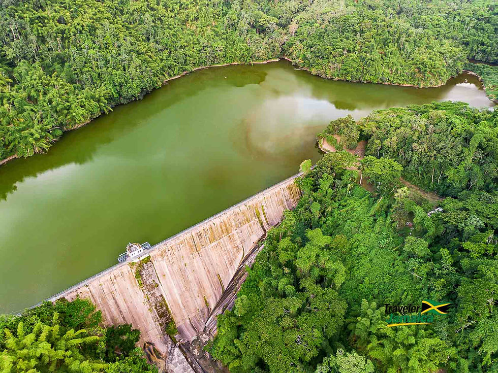 Lush greenery surrounds the serene waters held back by the Hermitage Dam in Jamaica, blending natural beauty with engineered functionality.
