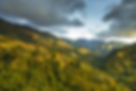 davidmaddenphoto-0743.jpg