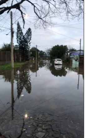 Vista da Rua das Camélias hoje 21/06/25, local próximo ao banhado.
