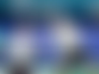 Boe et Conrad-Petersen raccrochent les raquettes