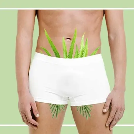 Taming the Tresses: Pube-scaping for the Modern Gay Man