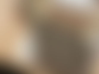 リフォーム模型②