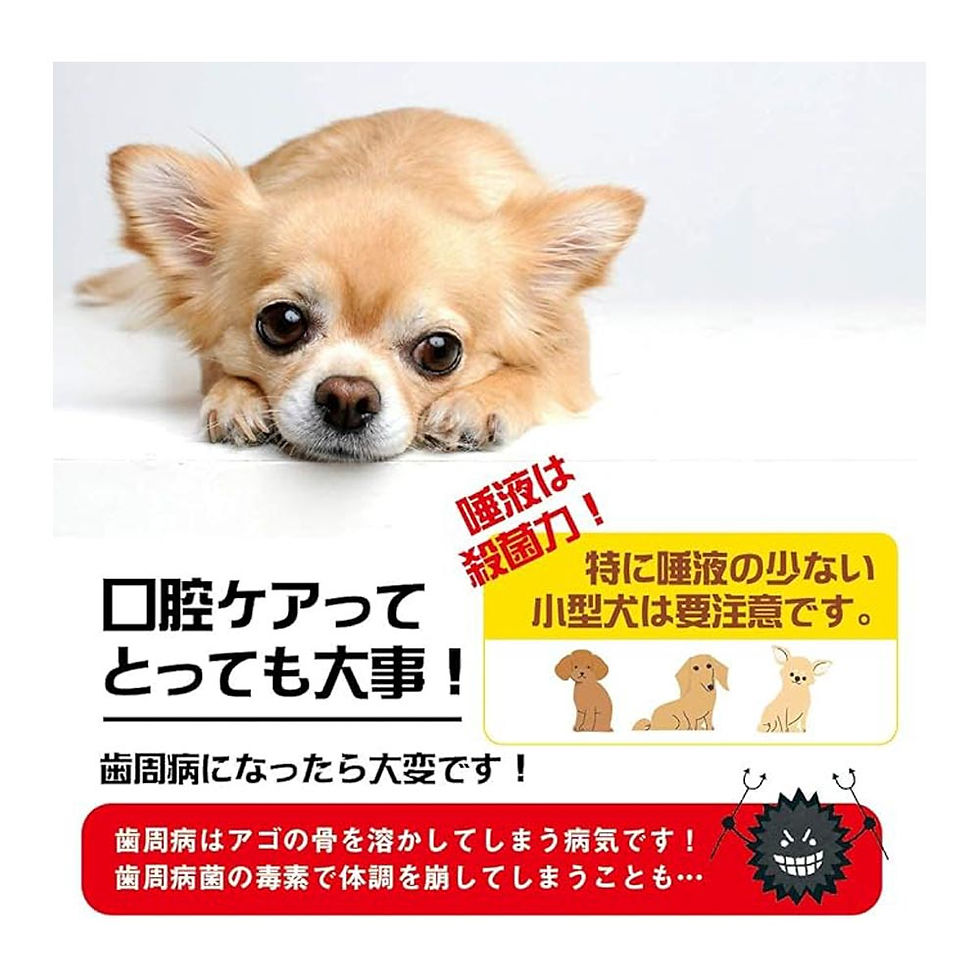 サムネイル： ワンフー バイオクロロ 60ml wanfoo
